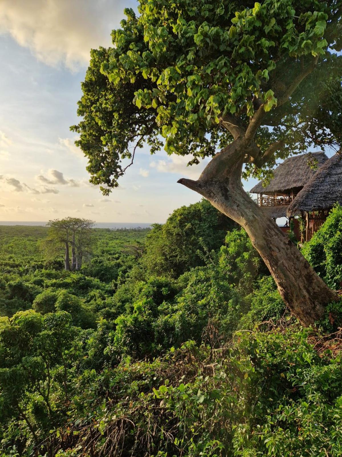 Monkey Mountain Lodge Mtende Exterior foto